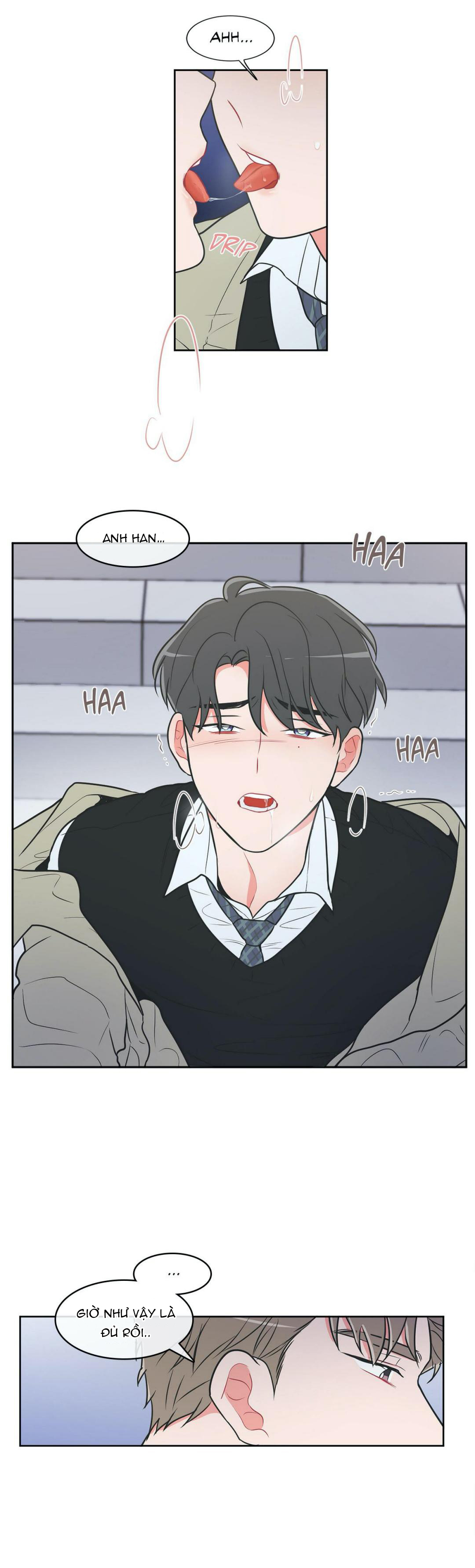 anti p.t chapter 20 5