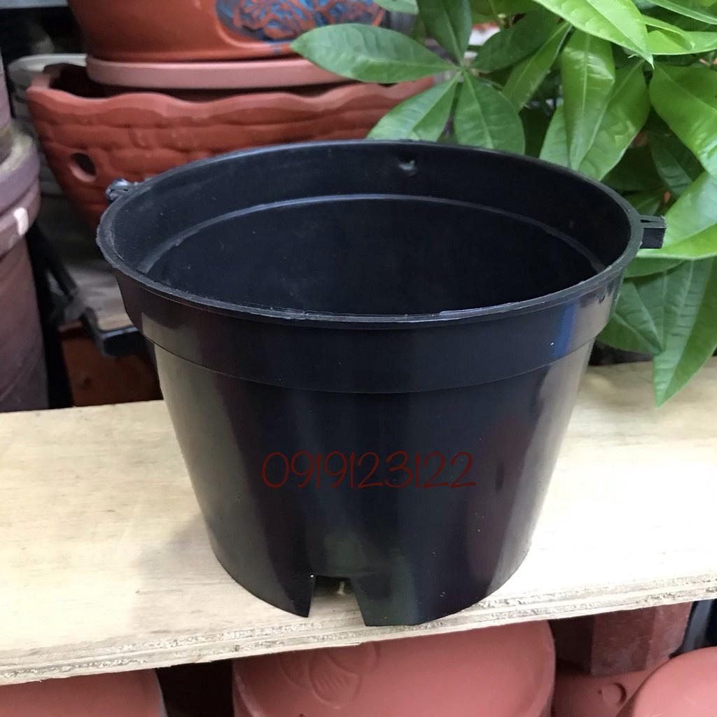 Chậu nhựa đen trồng lan, cây cảnh fi 12