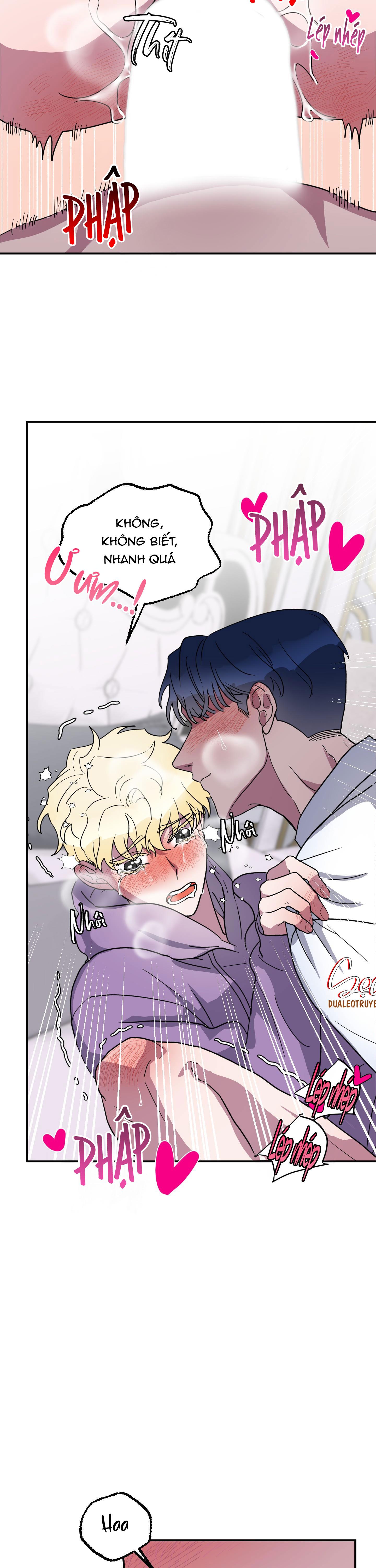 cá mập và cô dâu thỏ chapter 3 4