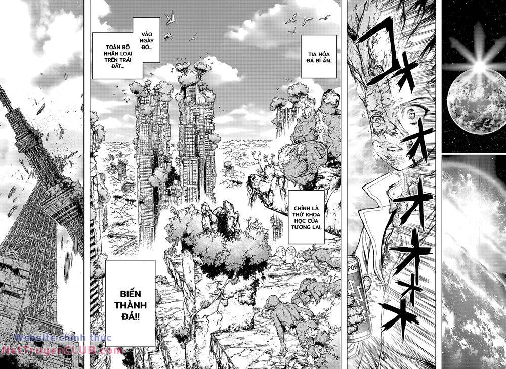dr.stone - hồi sinh thế giới chapter 232.7 11