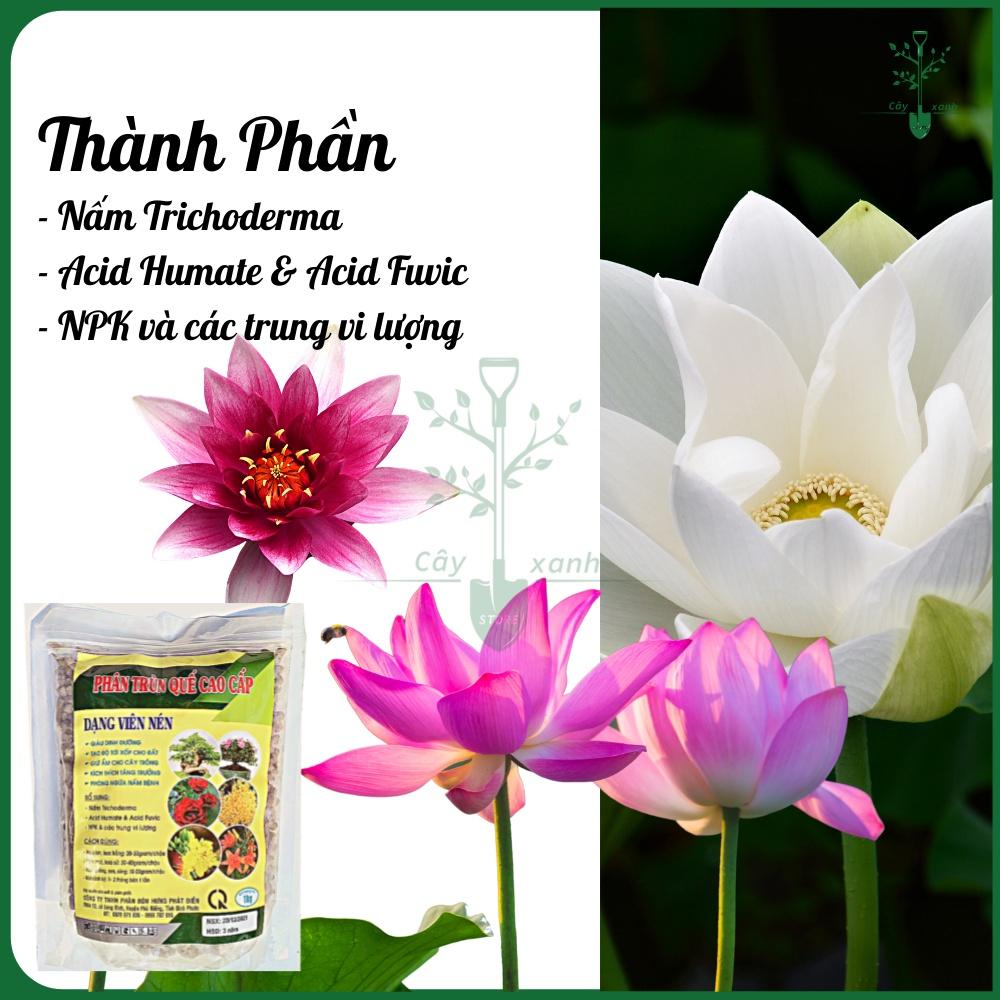 Phân Bón Trùn Quế Viên Nén HPD 1Kg Cao Cấp Phân Bón Hữu Cơ Chuyên Cho Lan Và Cây Kiểng