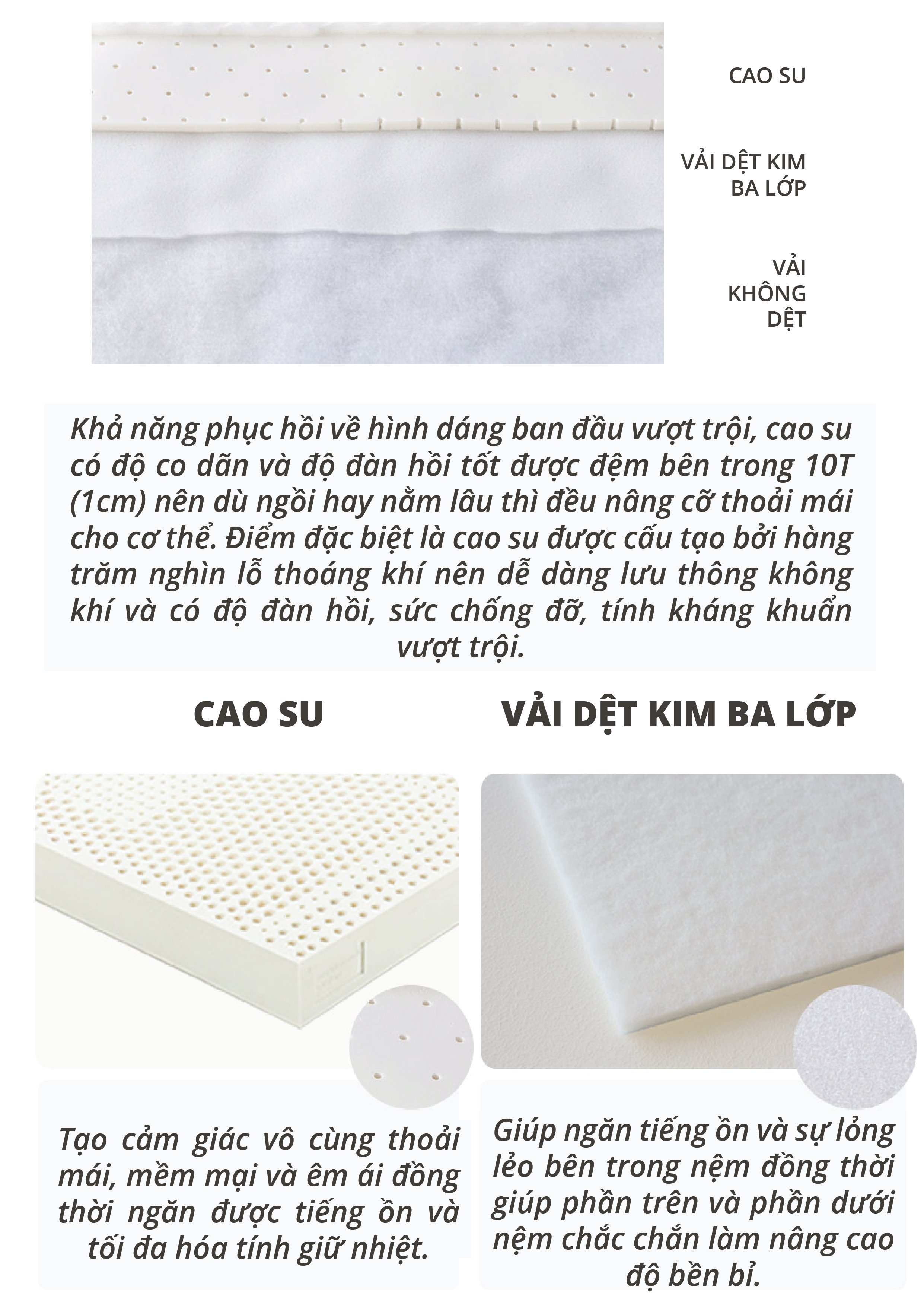 NỆM LÒ XO BEDIS BELUGA