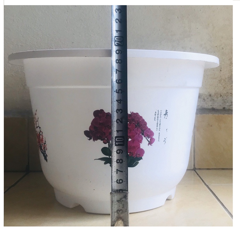 5 Châu Nhựa BỐN MÙA Hình Tròn Màu Trắng Kích Thước A330 VN