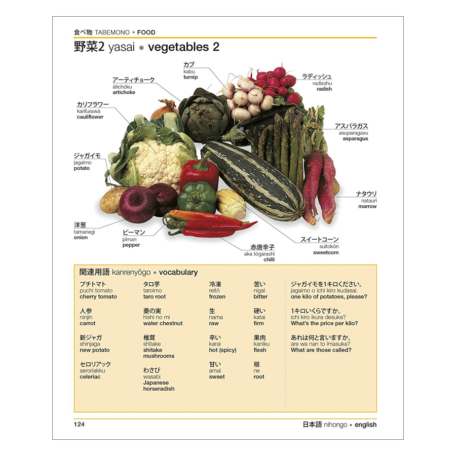 Japanese English Bilingual Visual Dictionary