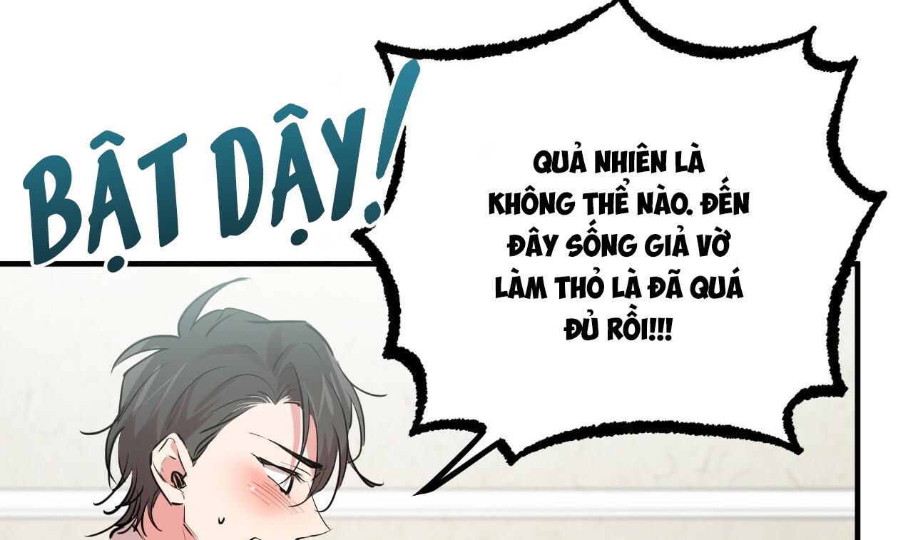 đàn thỏ của habibi chapter 31 117