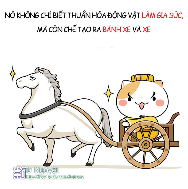 nếu lịch sử là một bầy mèo chapter 1 25