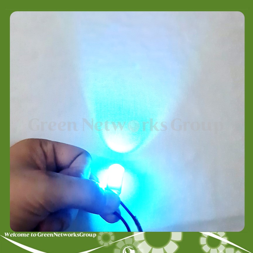 Đèn xi nhan LED T10 đúc sứ - xi nhan demi cho xe máy T10 6 Led ( 6smd 3030 ) DC 12V Green Networks Group ( 1 Đèn )