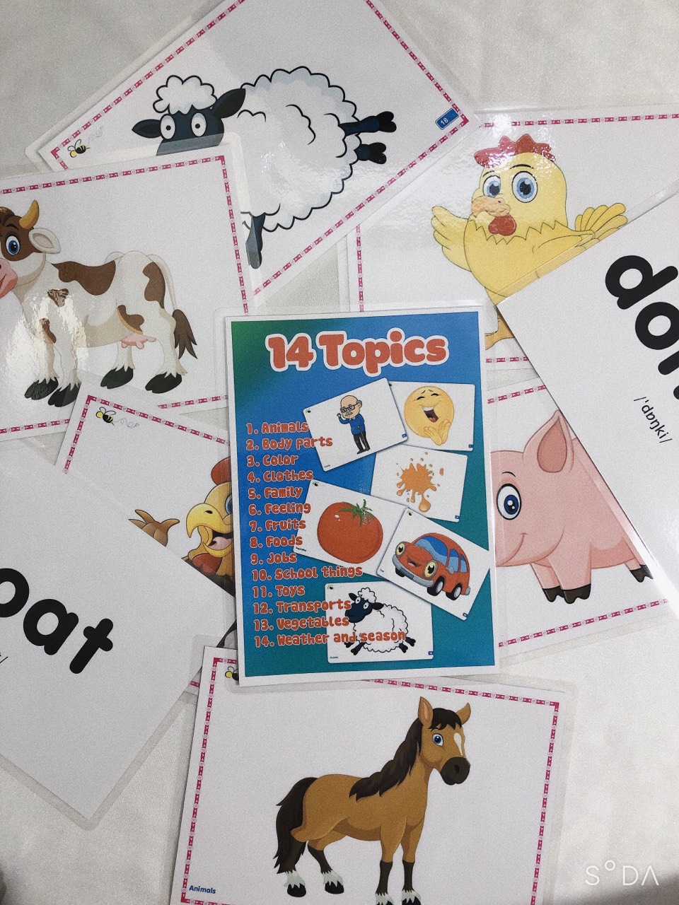 Flashcards 14 chủ đề dạy Tiếng Anh cho trẻ mầm non