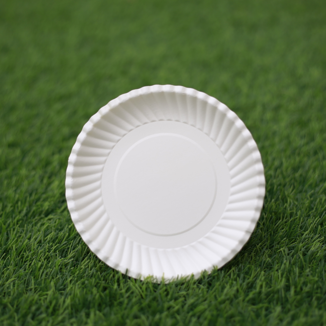 COMBO 100 DĨA GIẤY TRẮNG CAO CẤP 13cm - Paper plate