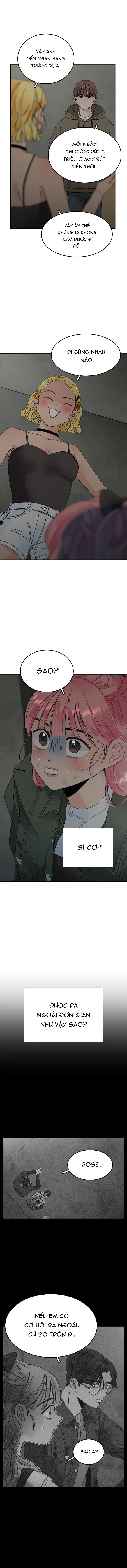 thanh âm tựa hoa hồng chapter 4.2 4