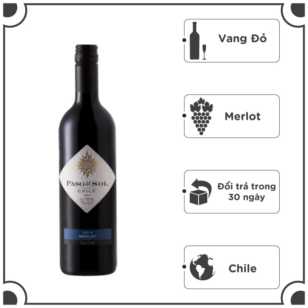 Rượu Vang Đỏ Chile TerraMater Paso Del Sol Merlot