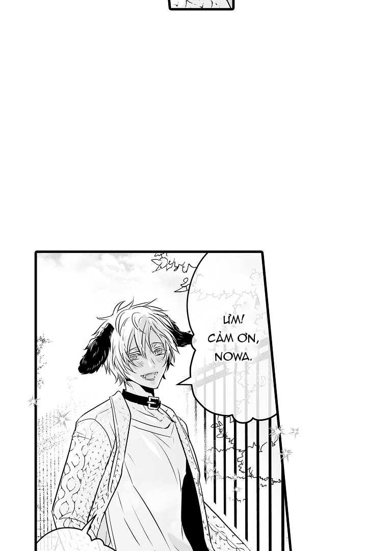 gấu ngủ đông chapter 4.2 8