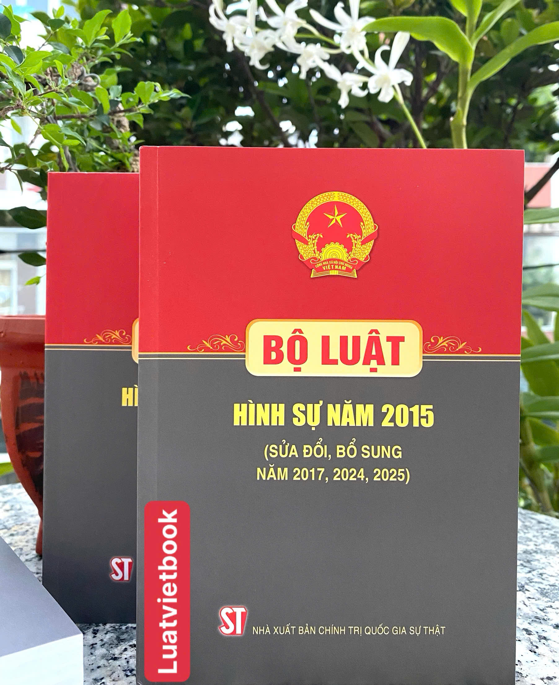 Sách Bộ Luật Hình Sự Năm 2015 ( Sửa Đổi, Bổ Sung Năm 2017, 2024, 2025)