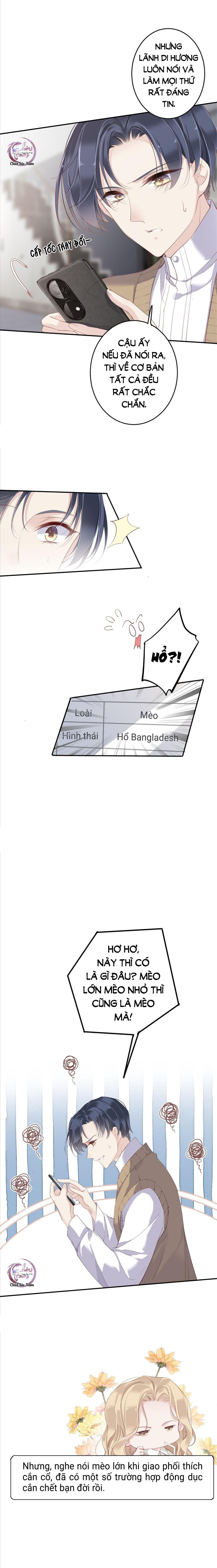 cuộc mai mối vượt giống loài chapter 1 8