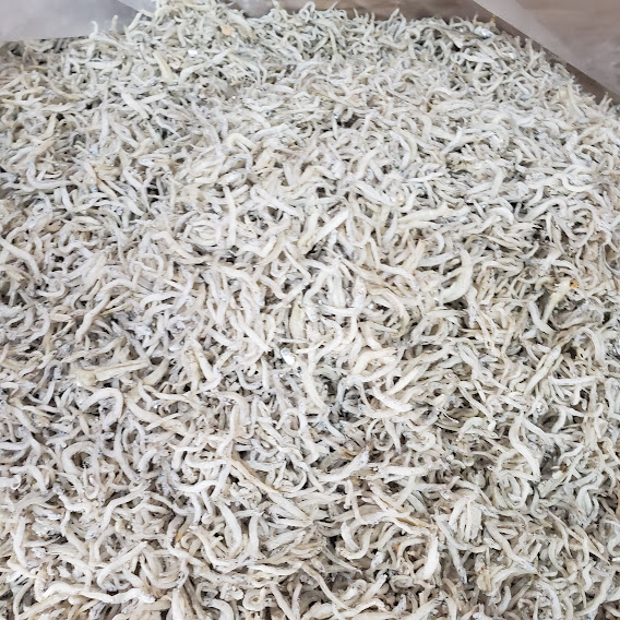 Đặc Sản Nha Trang - Cá Cơm Mờm Sữa Loại 1 Seavy 1kg