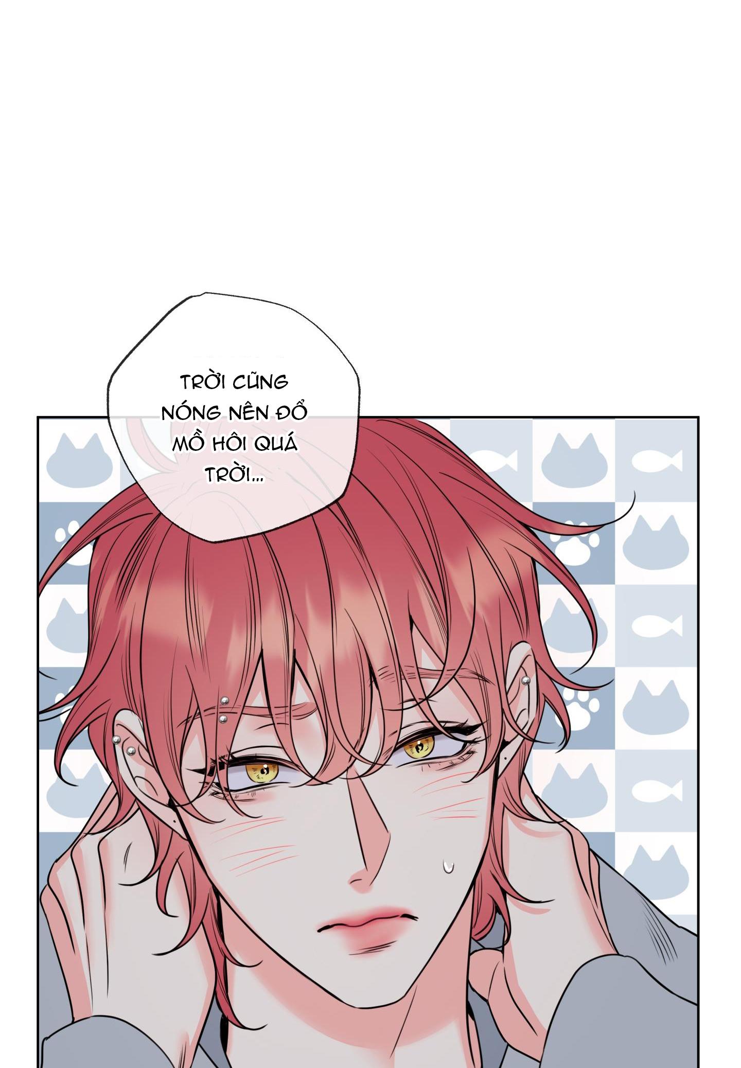 honey trouble - rắc rối ngọt ngào chapter 18 17