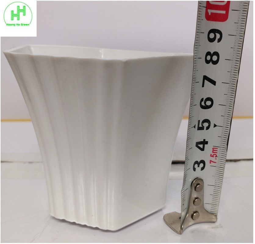 5 Chậu nhựa Lục giác Sen đá 100x80x60, trồng cây mini, xương rồng, cây để bàn, sen đá
