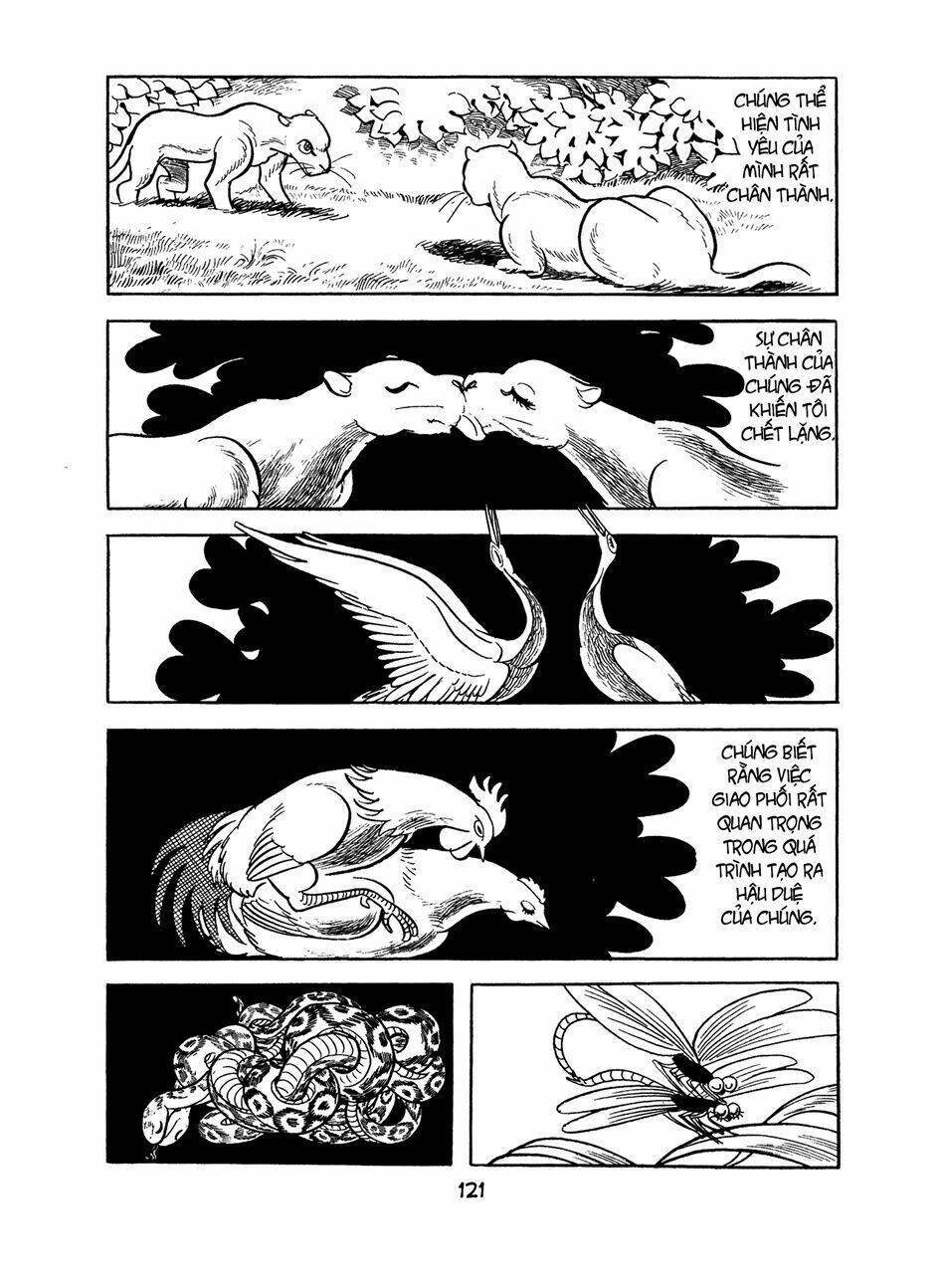 apollo’s song chapter 2.1 42