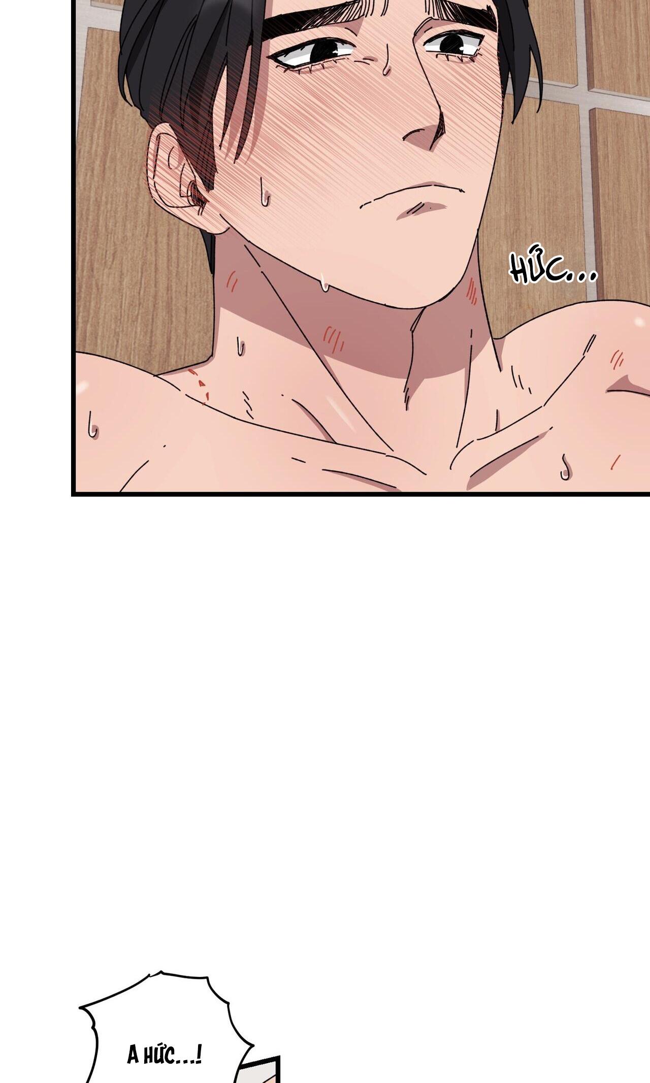 làm dâu nhà tài phiệt họ kang chapter 38 43