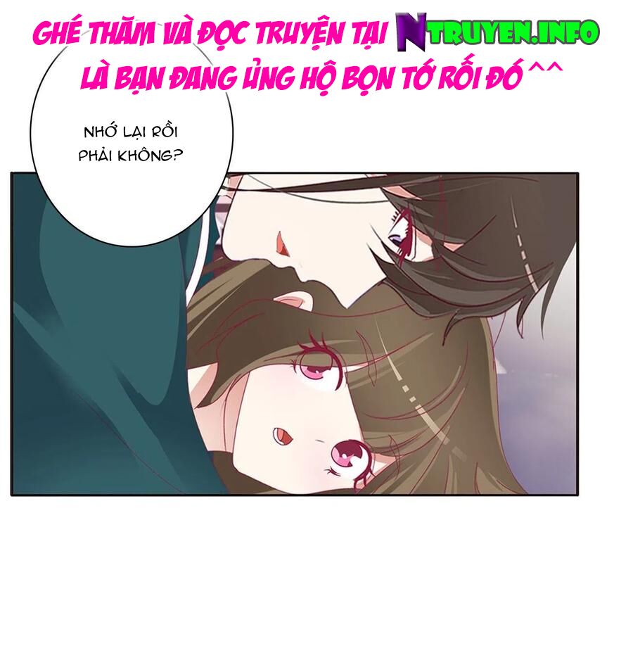 thông linh phi chapter 645 17