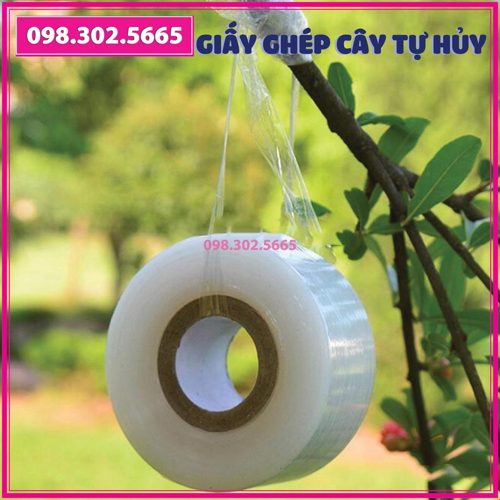 Giấy ghép cây tự hủy - khổ 8 cm - Dùng cho các loại cây to, cành lớn