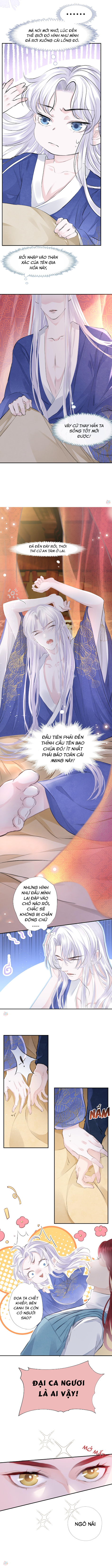 tướng quân đêm nay không cởi kim giáp chapter 4 2