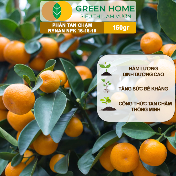 Phân Tan Chậm GreenHome, Rynan NPK 16-16-16, Hũ 150gr, Dùng Cho Cây Có Múi Khỏe Bền Tán Xanh Rễ Mạnh