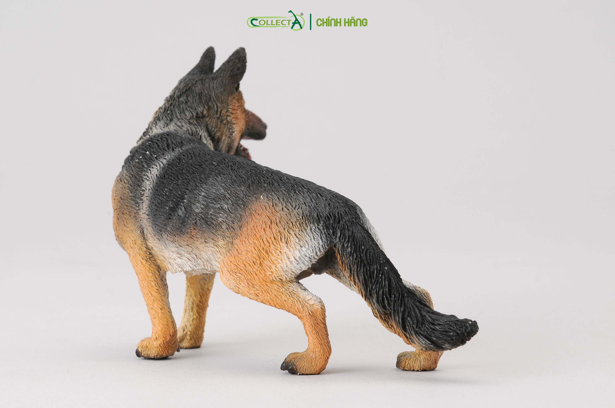 Mô hình thu nhỏ: Chó Shepherd - German Shepherd, hiệu: CollectA, mã HS 9650010[88552] -  Chất liệu an toàn cho trẻ - Hàng chính hãng