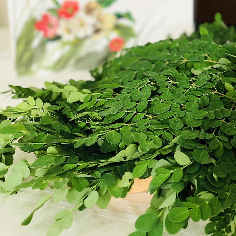 Combo 10 Gói Mì Chùm Ngây Gìau Dinh Dưỡng 70Gr - Mori