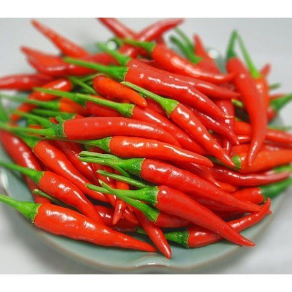 Hạt Giống Ớt Chỉ Thiên Siêu Cay 1gr