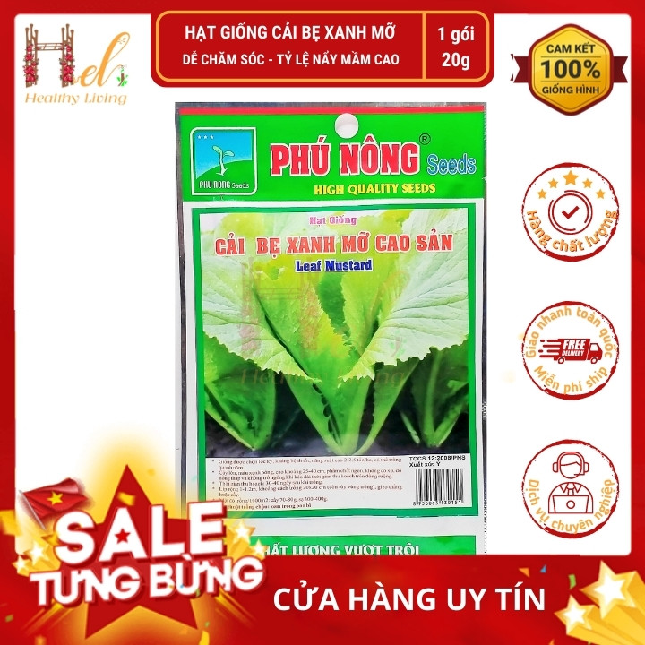 Hạt Giống Cải Bẹ Xanh - Hạt Giống Cải Bẹ Xanh Mỡ Cao Sản Dễ Trồng, Năng Suất Cao