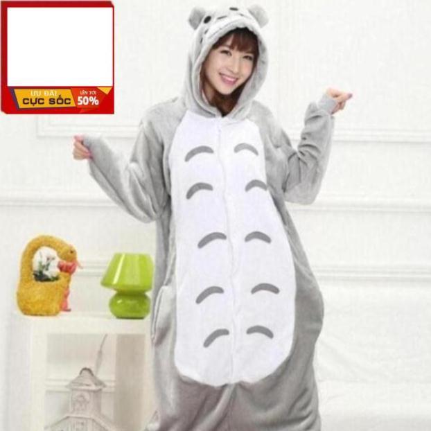 Bộ Đồ Thú Totoro