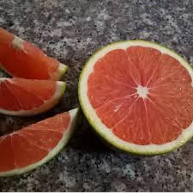 CÂY GIỐNG CAM CARA RUỘT ĐỎ KHÔNG HẠT SIÊU NGON SIÊU QUẢ- CAM KÊT GIỐNG CHUẨN F1