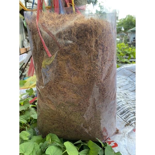 Chỉ Dừa dùng để phủ mặt chậu loại 30x40cm