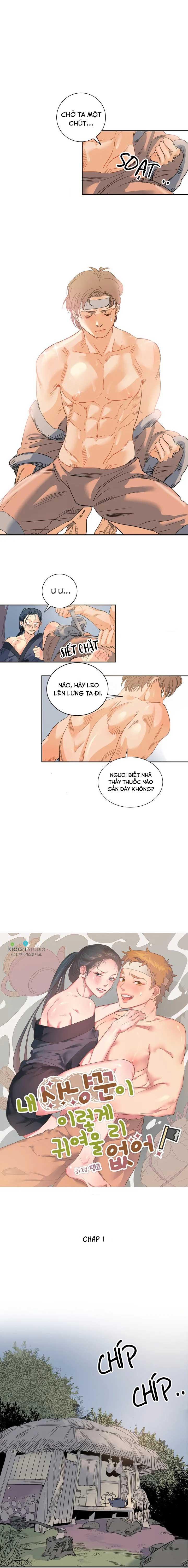 bl cổ trang - âu cổ ngắn nhà kim chapter 3.1 4