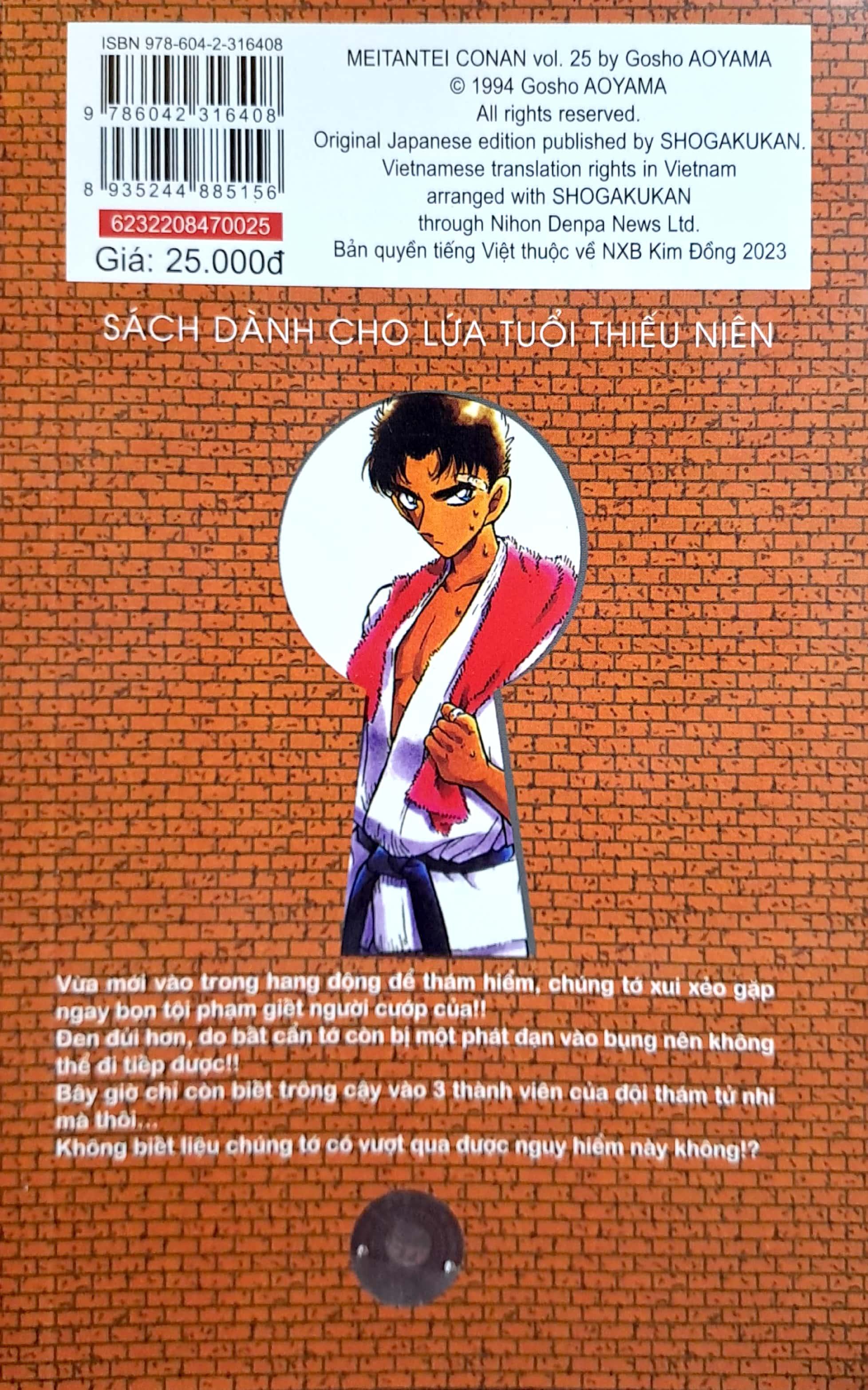 Thám Tử Lừng Danh Conan - Tập 25 (Tái Bản 2023)