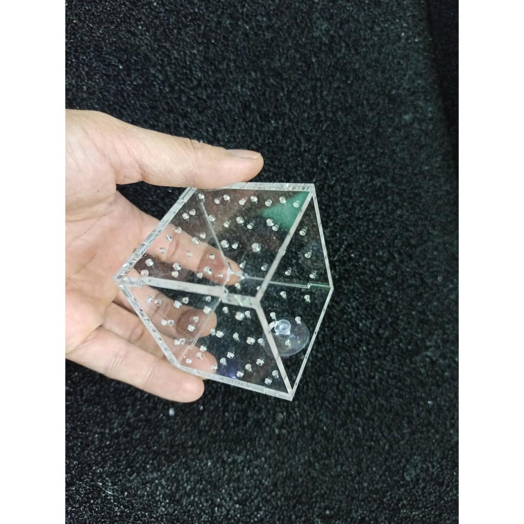 Cốc trồng cây bằng mika - Cốc đựng phân nền mica - Hồ thủy sinh - bể cá cảnh