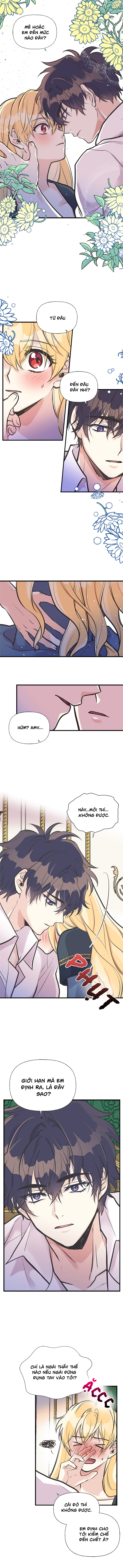 chị tôi đã nhặt về một nam chính quyến rũ chapter 46 15