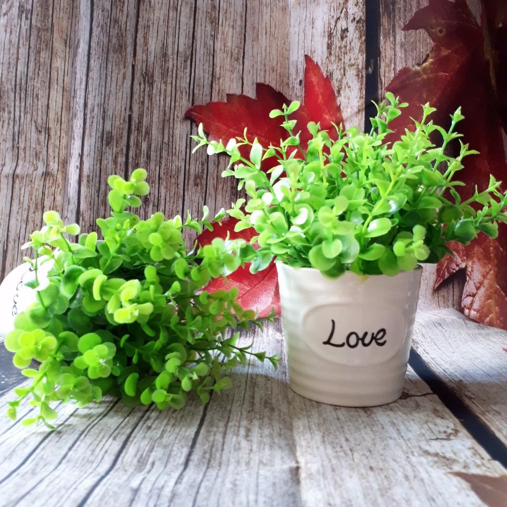 Chậu lá giả chậu love cỏ xanh