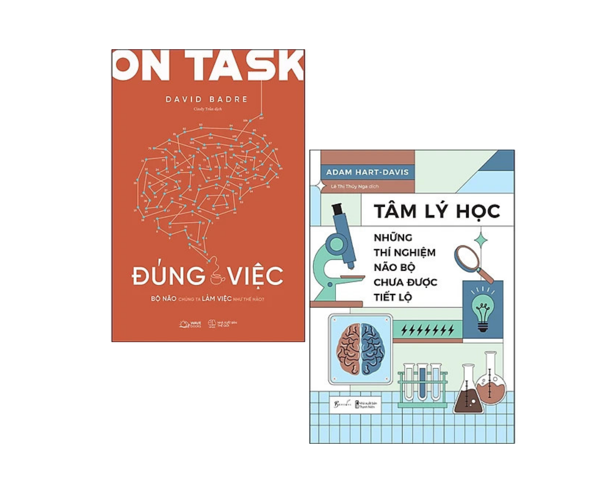 Combo 2Q: On Task - Đúng Việc  + Tâm Lý Học - Những Thí Nghiệm Não Bộ Chưa Được Tiết Lộ