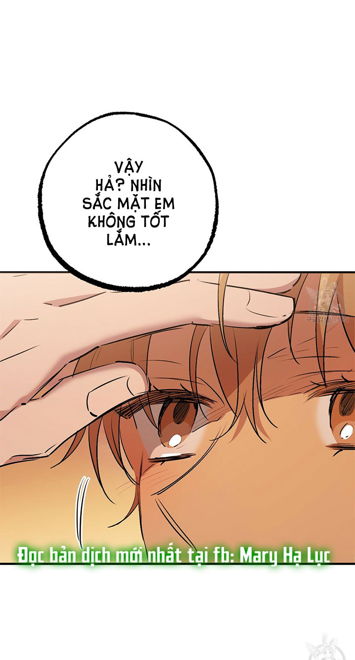 những chú thỏ của hapypy chapter 42 59