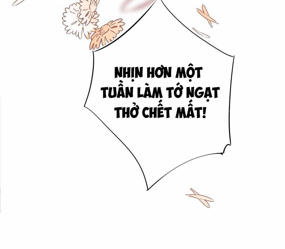 phù thủy hạng bét chapter 14 44