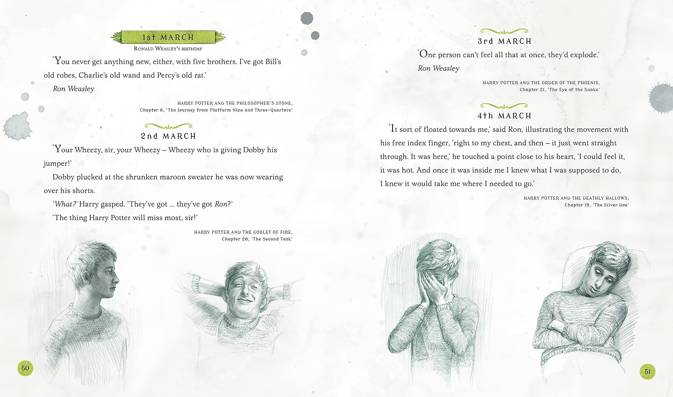 Sách ngoại văn: Harry Potter - A Magical Year: The Illustrations Of Jim Kay