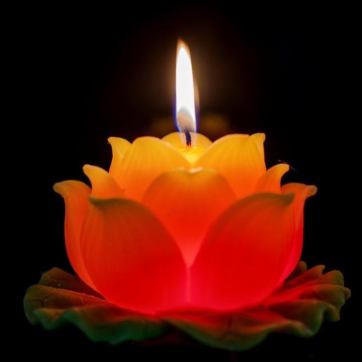 Nến hoa sen lớn - nến hoa thờ phật - nến bông sen trang trí cao cấp candle shop