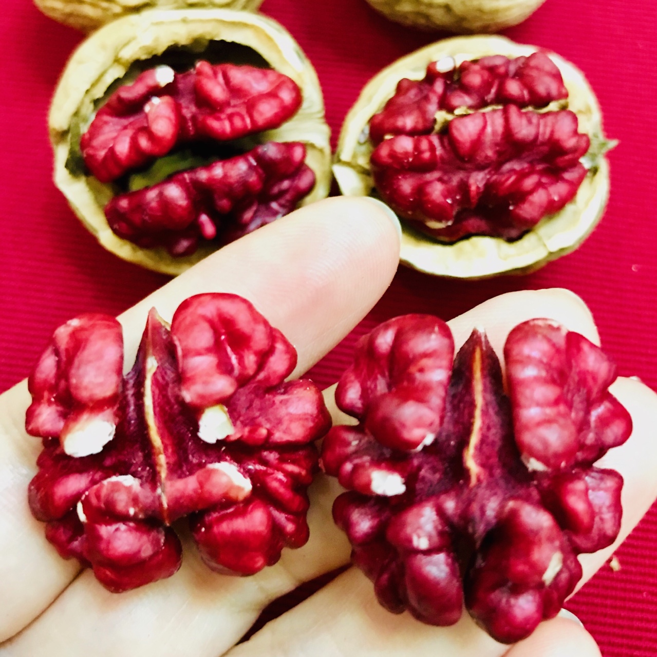 Quả Óc Chó Nhân Đỏ Nhập Khẩu Mỹ - HSaHa - Nguyên Vỏ - Tặng Móc Tách Vỏ