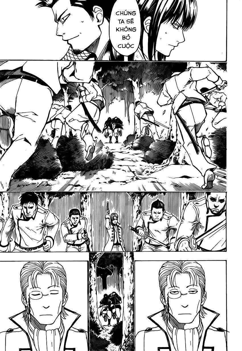gintama - linh hồn bạc chapter 536 12