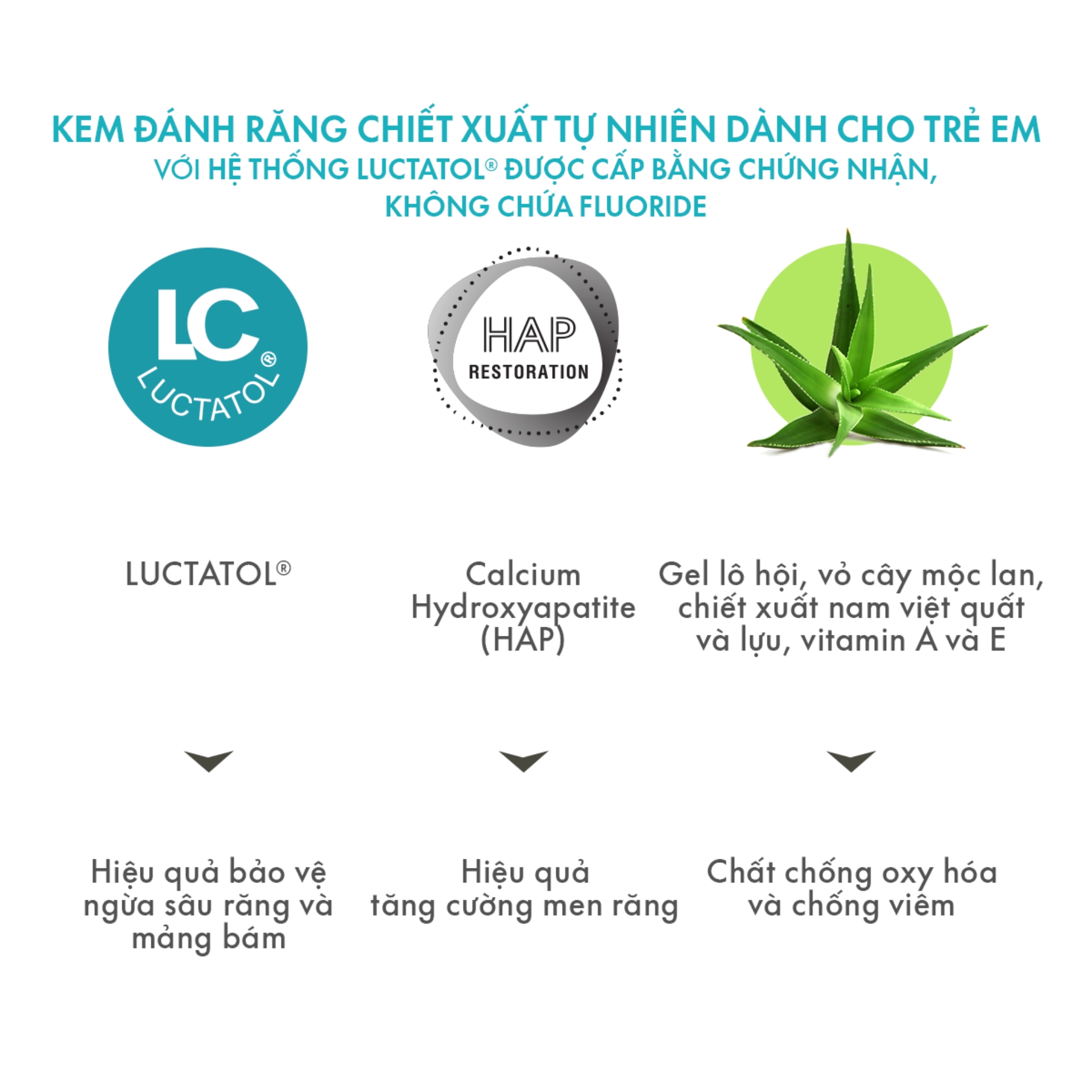 Kem Đánh Răng Cho Bé Từ 6 - 11 Tuổi Vị Kẹo Cao Su SPLAT Junior Thành Phần Tự Nhiên, An Toàn Bảo Vệ Khoang Miệng 73g