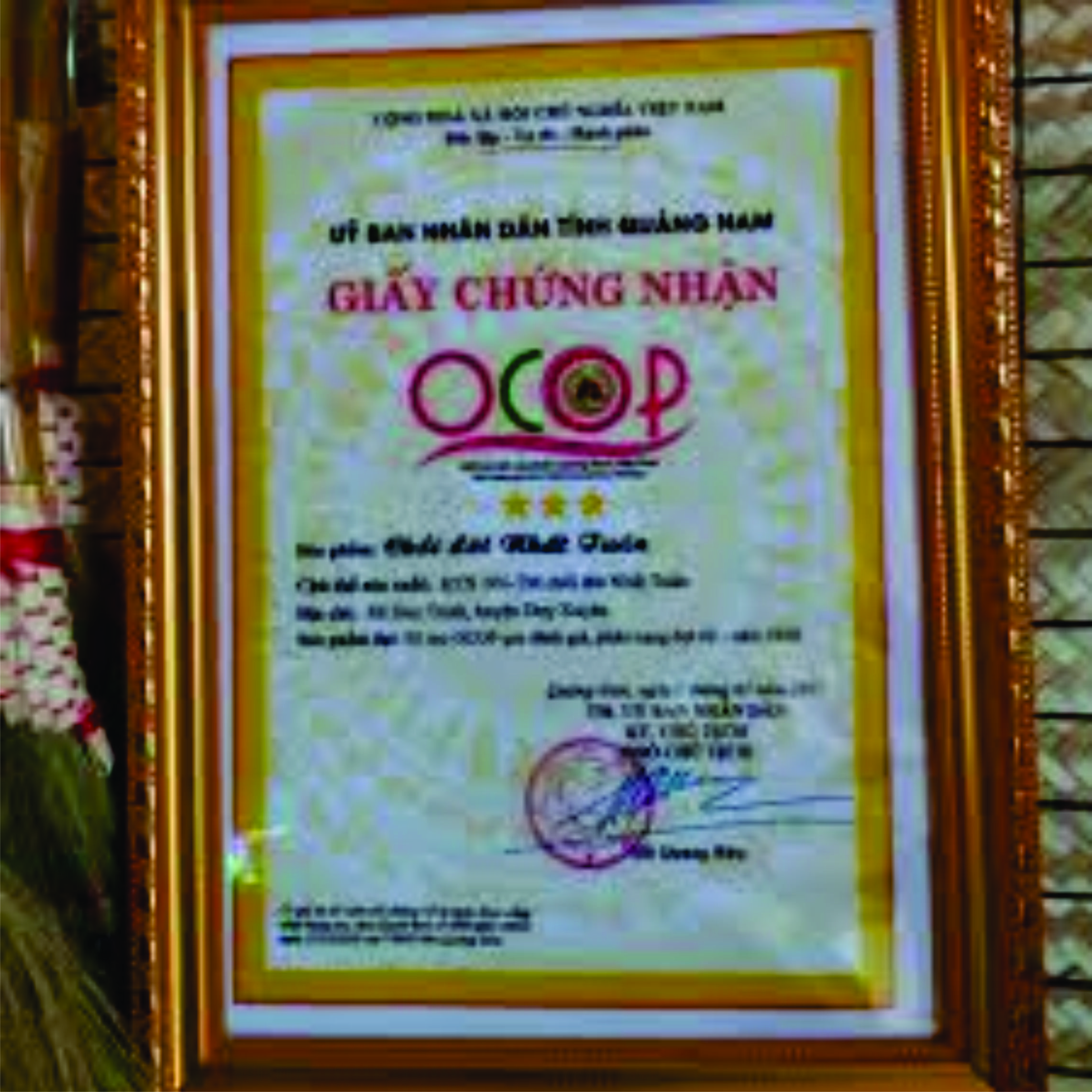 Chổi đót quét nhà, chổi chít  cán trúc rẻ bền đẹp Cao Cấp Đã Làm Sạch Bụi Bông Cỏ