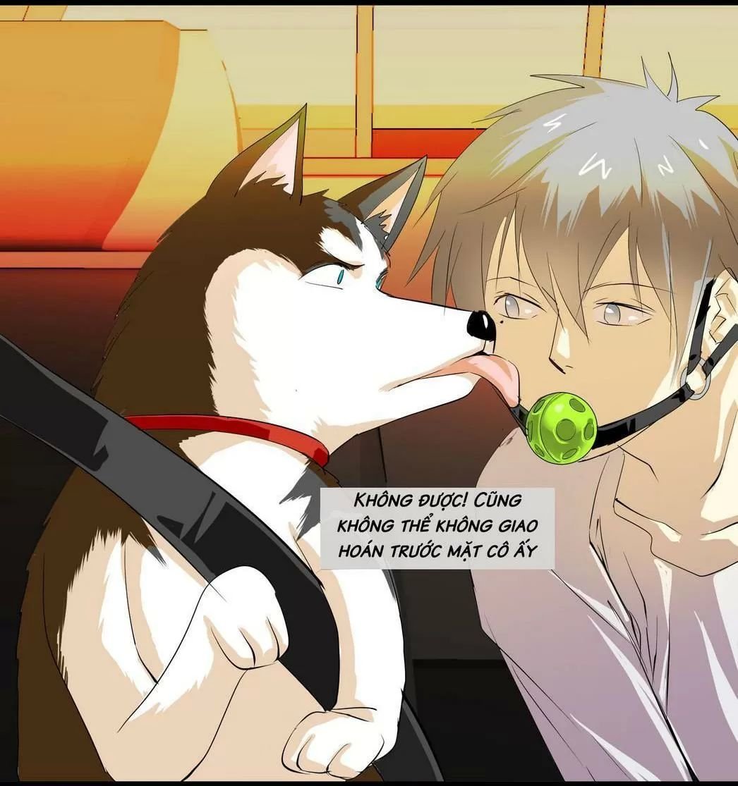 một con chó chapter 64 11
