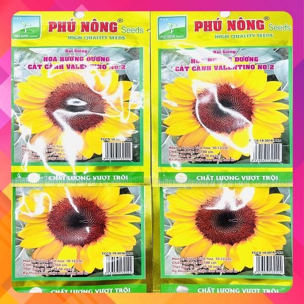 Hạt giống hoa hướng dương cắt cành valentino NO.2
